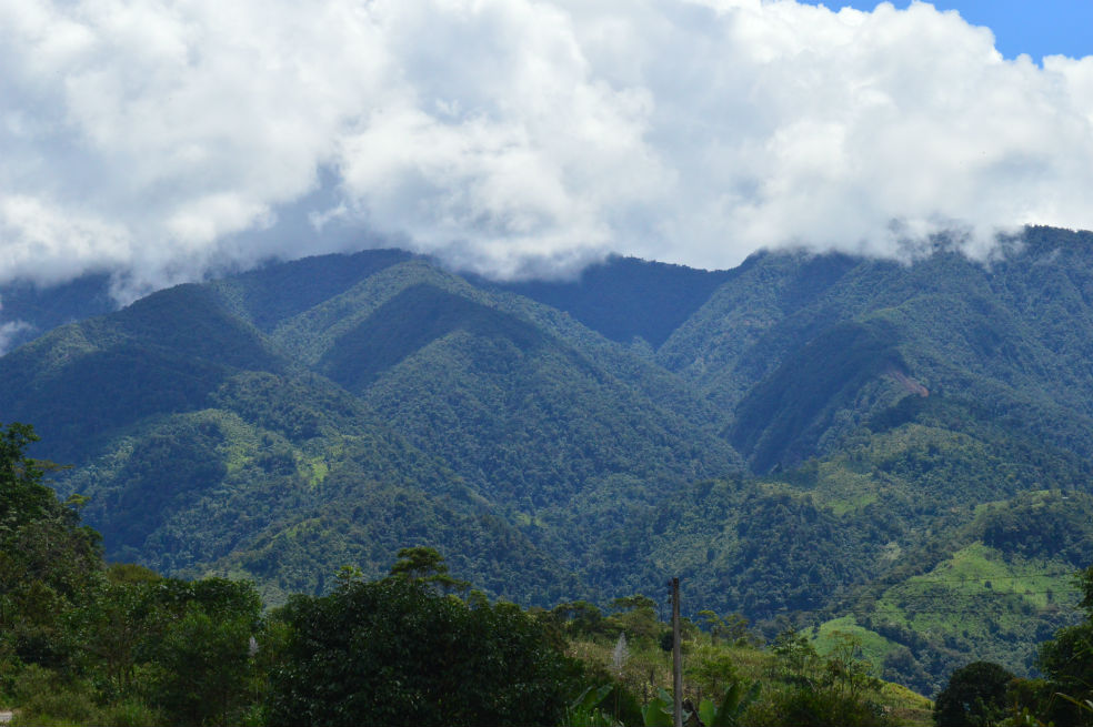 Las Montañas de Mocoa Hablan y la Ciencia También
