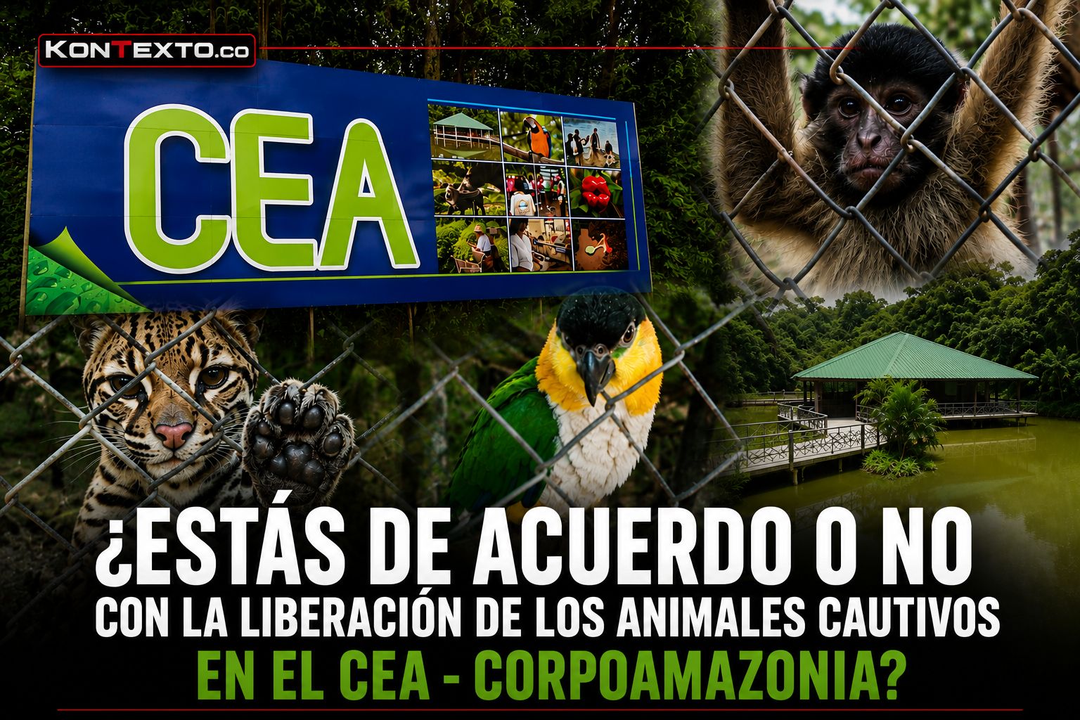 ¿Está de acuerdo con la liberación de los animales cautivos en el CEA de Corpoamazonia?